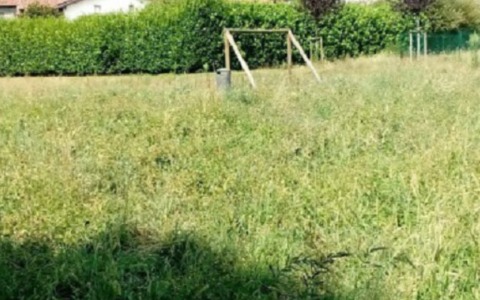 Seab si occuperà del verde urbano