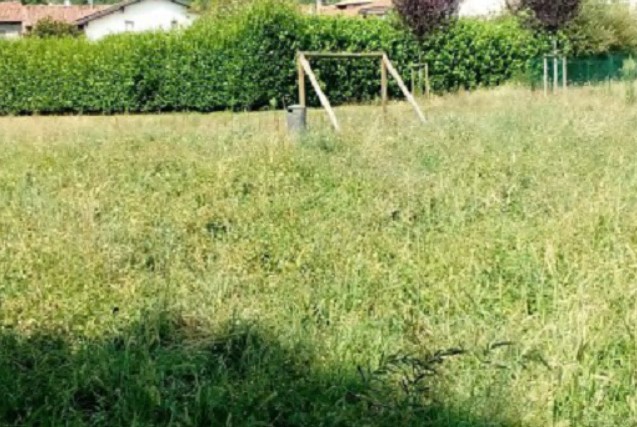 Seab si occuperà del verde urbano