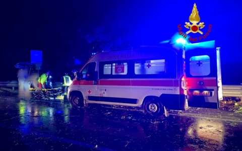 Caduta di un albero provoca incidente sulla provinciale: motociclista coinvolto
